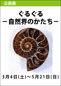 企画展「ぐるぐる—自然界のかたち—」