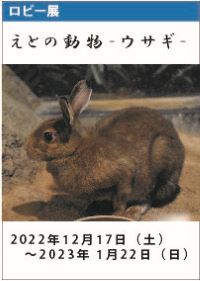 ロビー展「えとの動物－ウサギ－」