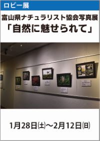 ロビー展「富山県ナチュラリスト協会写真展」