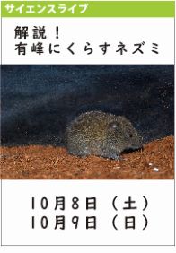 サイエンスライブ「解説！有峰にくらすネズミ」