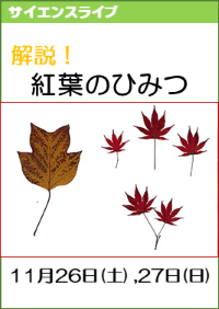 サイエンスライブ「解説！紅葉のひみつ」