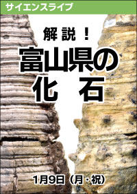 サイエンスライブ「解説！富山県の化石」