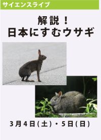 サイエンスライブ「解説！日本にすむウサギ」