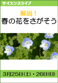 サイエンスライブ「解説！春の花をさがそう」