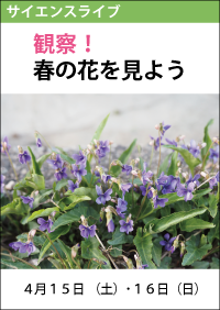 サイエンスライブ「観察！春の花を見よう」