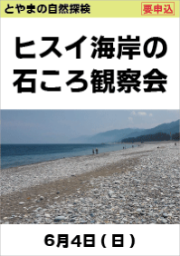 とやまの自然探検「ヒスイ海岸の石ころ観察会」