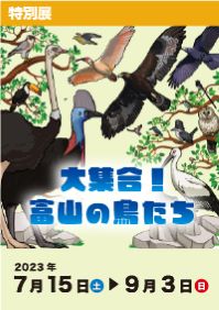 特別展「大集合！富山の鳥たち」