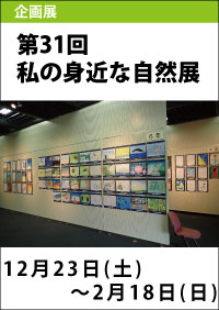 第31回「私の身近な自然展」