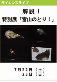 サイエンスライブ「解説！特別展「富山のとり！」」