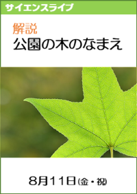 サイエンスライブ「解説！公園の木の名前」