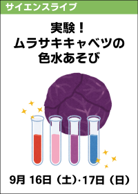 サイエンスライブ「実験！ムラサキキャベツの色水あそび」