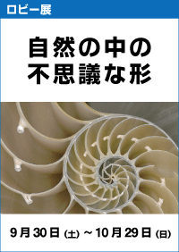 ロビー展「自然の中の不思議な形」