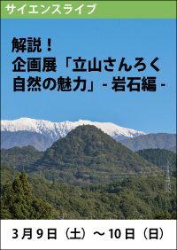 サイエンスライブ「解説！企画展「立山さんろく自然の魅力」―岩石編―」