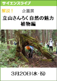 サイエンスライブ「解説！企画展「立山さんろく自然の魅力」―植物編―」