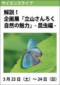 サイエンスライブ「解説！企画展「立山さんろく自然の魅力」―昆虫編―」