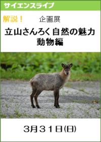 サイエンスライブ「解説！企画展「立山さんろく自然の魅力」―動物編―」