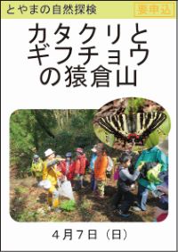 とやまの自然探検「カタクリとギフチョウの猿倉山」