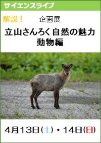 サイエンスライブ「解説！企画展「立山さんろく自然の魅力」―動物編―」