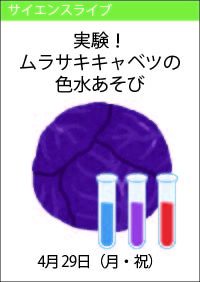 サイエンスライブ「実験！ムラサキキャベツの色水あそび」