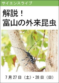 サイエンスライブ「解説！富山の外来昆虫」