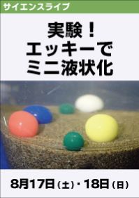 サイエンスライブ「実験！エッキーでミニ液状化」