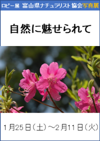 ロビー展　富山県ナチュラリスト協会写真展「自然に魅せられて」