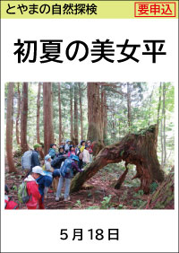 とやまの自然探検「初夏の美女平」