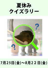 夏休みクイズラリー