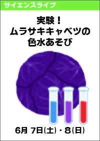 サイエンスライブ「実験！ムラサキキャベツの色水あそび」
