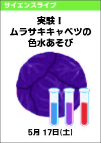 サイエンスライブ「実験！ムラサキキャベツの色水あそび」