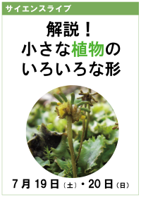 サイエンスライブ「解説！小さな植物のいろいろな形」