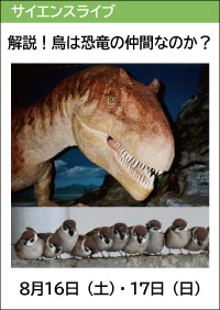 サイエンスライブ「解説！鳥は恐竜の仲間なのか？」