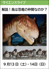 サイエンスライブ「解説！鳥は恐竜の仲間なのか？」