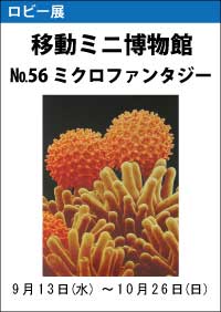 ロビー展「移動ミニ博物館№56ミクロファンタジー」