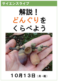 サイエンスライブ「解説！どんぐりをくらべよう」