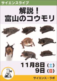 サイエンスライブ「解説！富山のコウモリ」