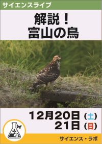 サイエンスライブ「解説！富山の鳥」
