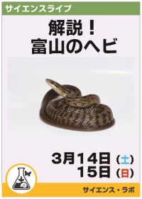 サイエンスライブ「解説！富山のヘビ」