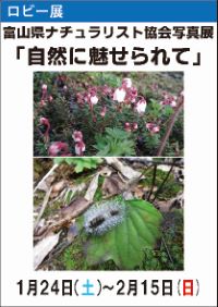 ロビー展 富山県ナチュラリスト協会写真展「自然に魅せられて」