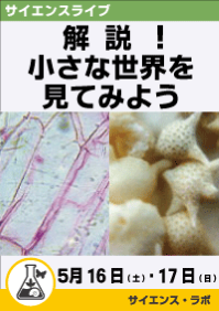 サイエンスライブ「解説！小さな世界を見てみよう」