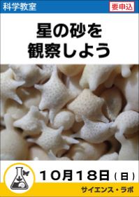 科学教室「星の砂を観察しよう」