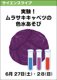 サイエンスライブ「実験！ムラサキキャベツの色水あそび」