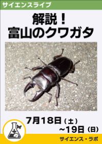 サイエンスライブ「解説！富山のクワガタ」