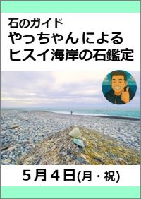 石のガイド やっちゃん によるヒスイ海岸の石鑑定