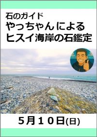 石のガイド やっちゃん によるヒスイ海岸の石鑑定