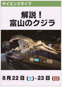 サイエンスライブ「解説!富山のクジラ」