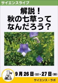 サイエンスライブ「解説！秋の七草ってなんだろう？」