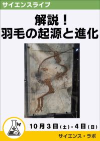 サイエンスライブ「解説！羽毛の起源と進化」