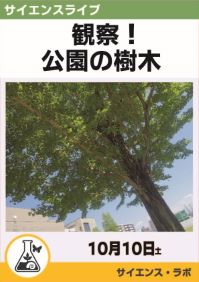 サイエンスライブ「観察！公園の樹木」