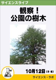 サイエンスライブ「観察！公園の樹木」